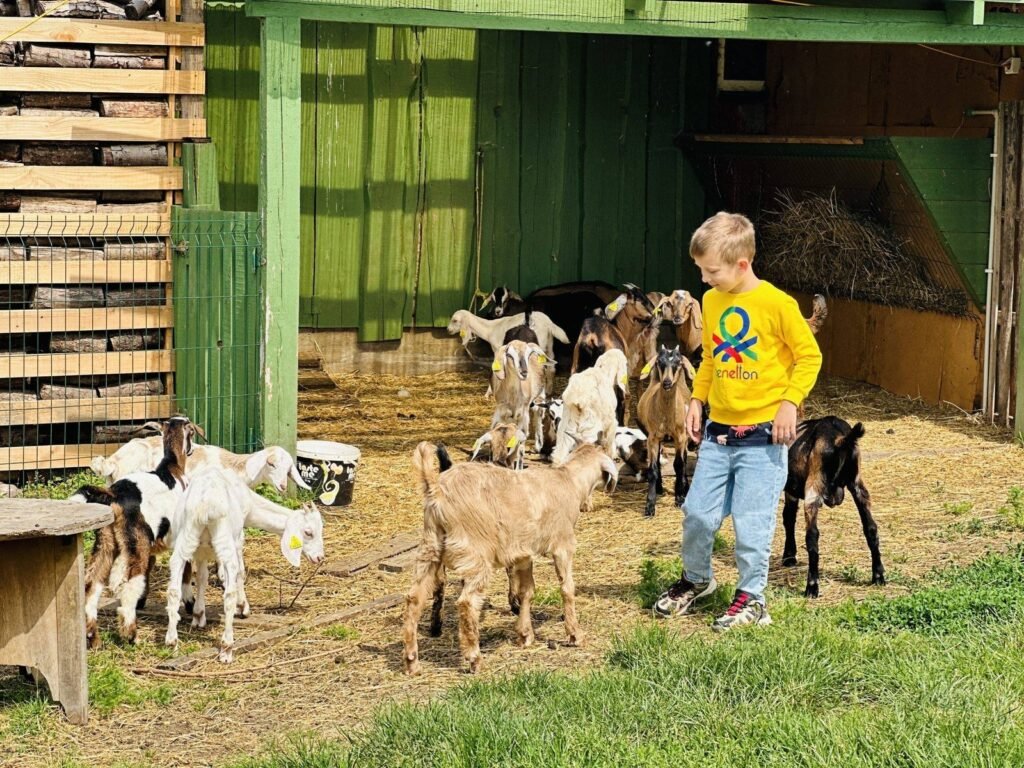 Grybu dvaro arklides (Grybai Manor Stables)