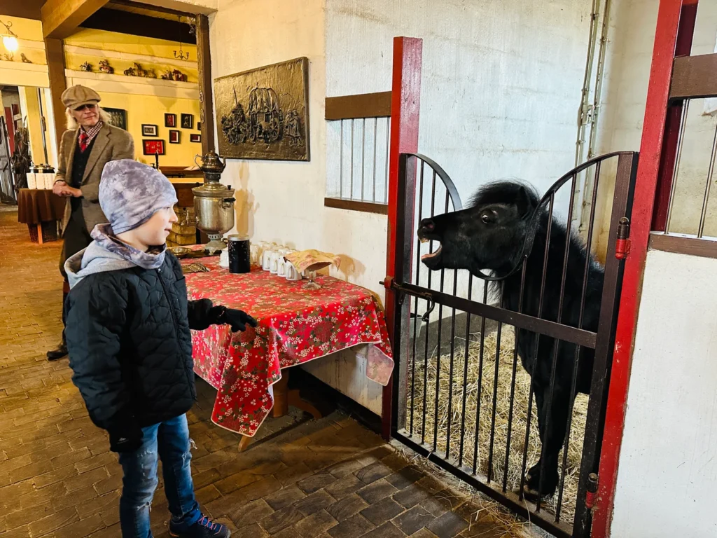 Grybu dvaro arklides (Grybai Manor Stables)
