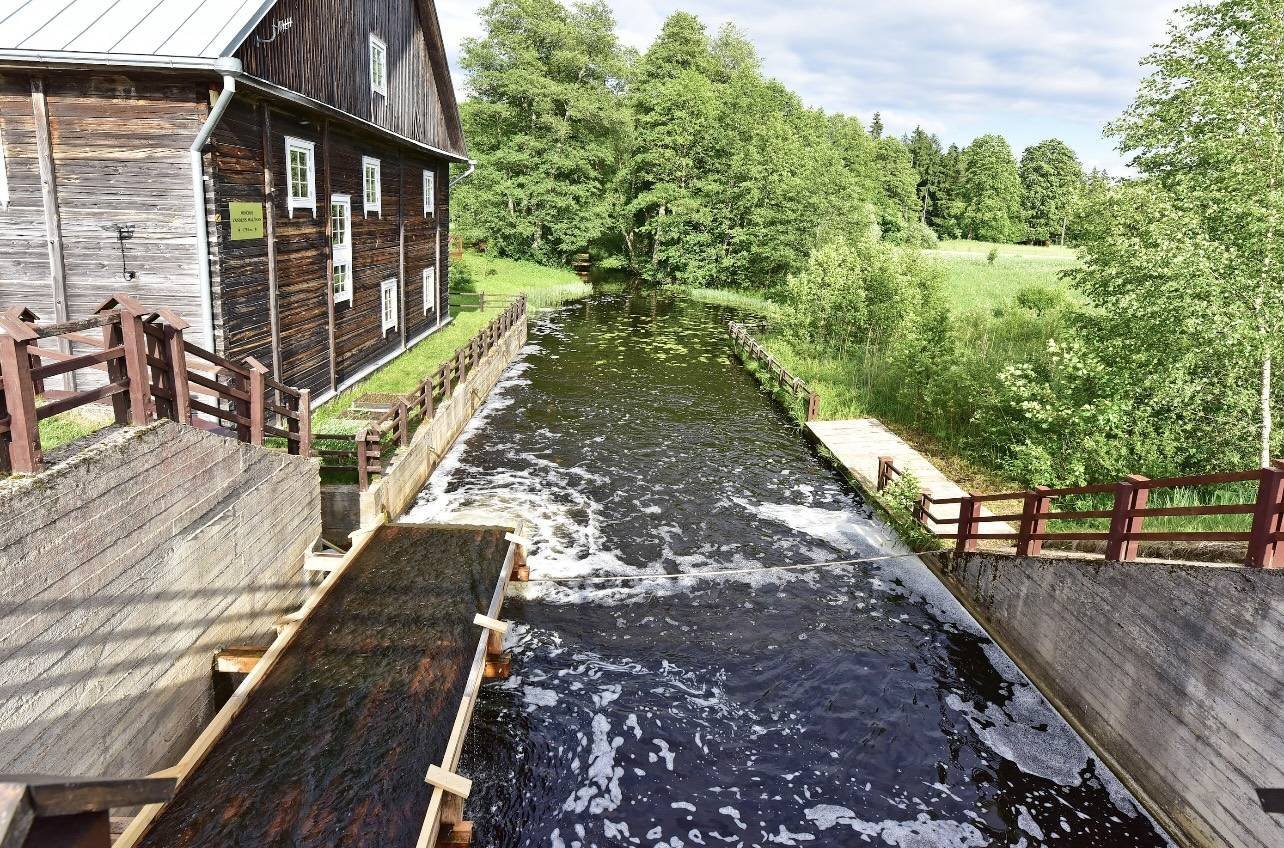 Leisure and entertainment in Mincia Watermill