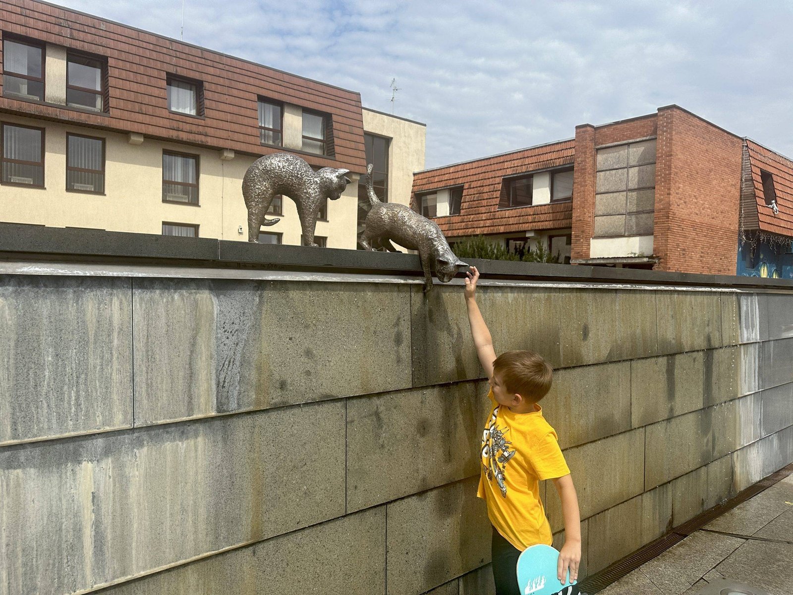 Cat Courtyard in Marijampolė