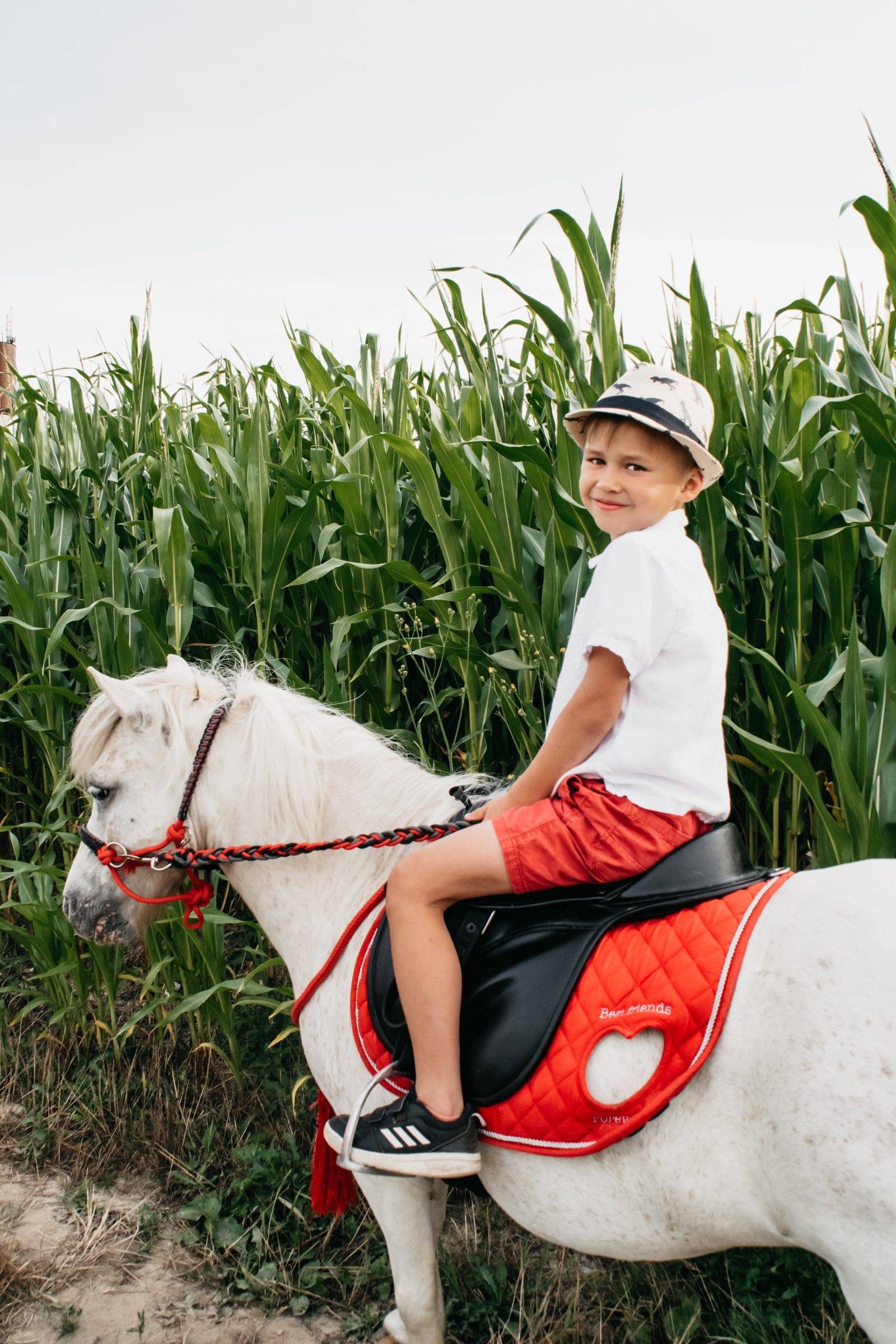 Family farm JUODOJI GRAZUOLE