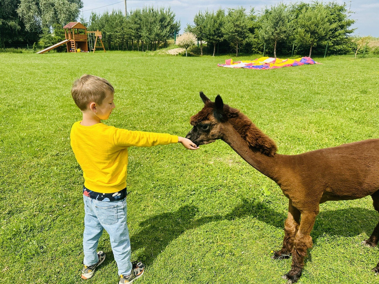 Outdoor children birthday party venues