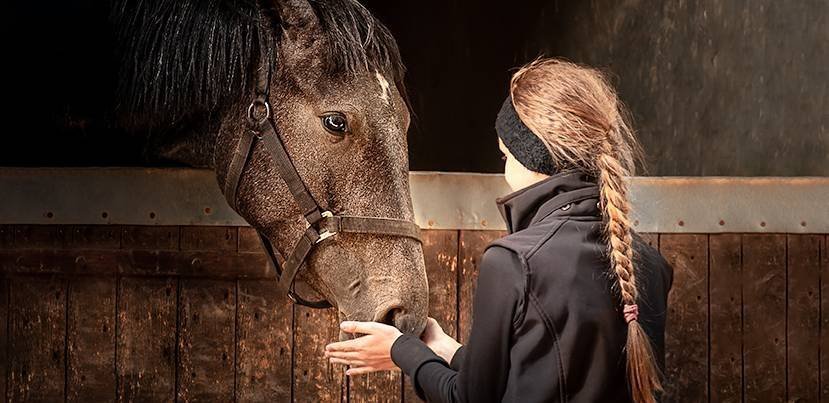 Molainiai stud farm