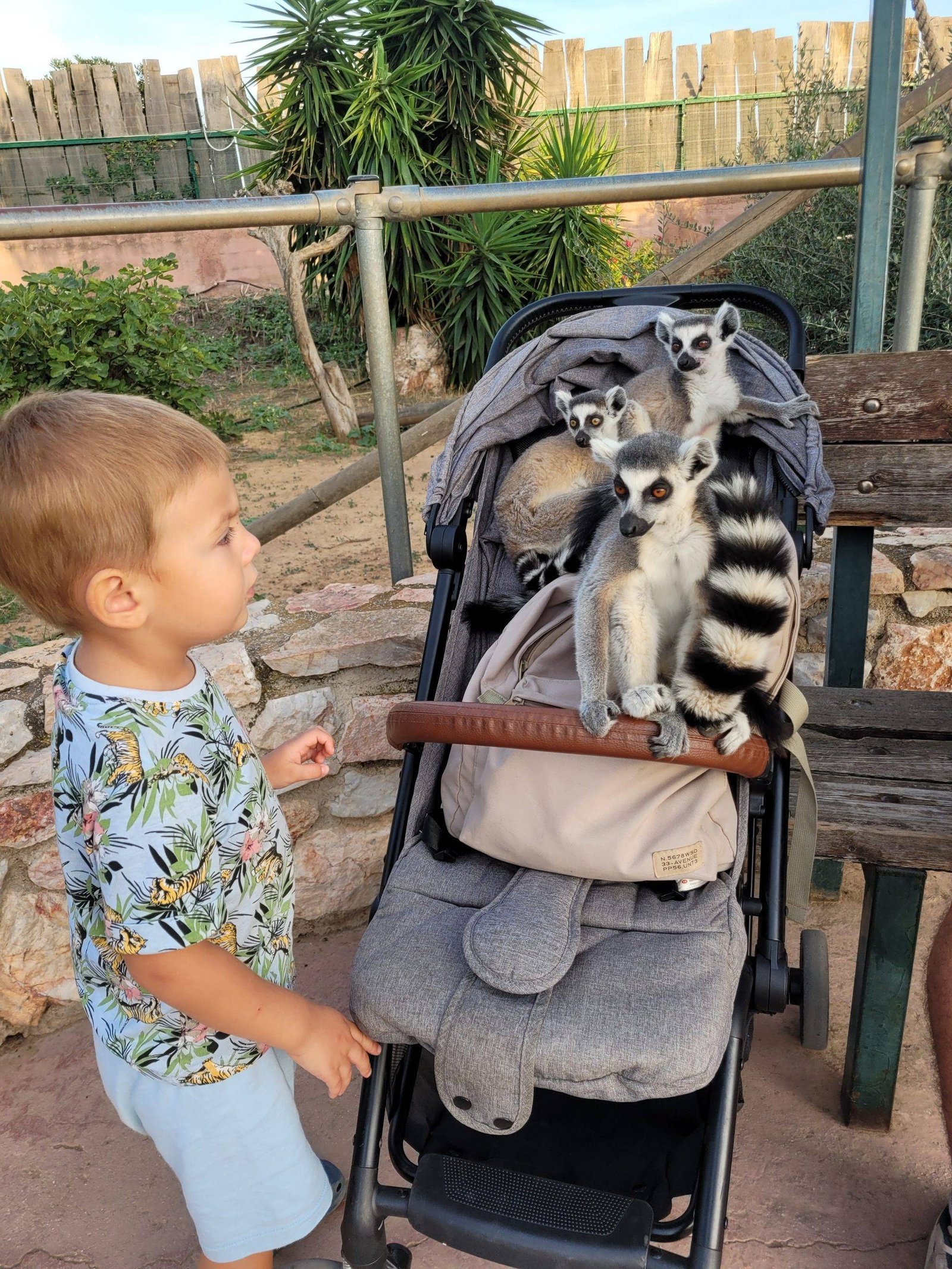 What to do in Athens with kids