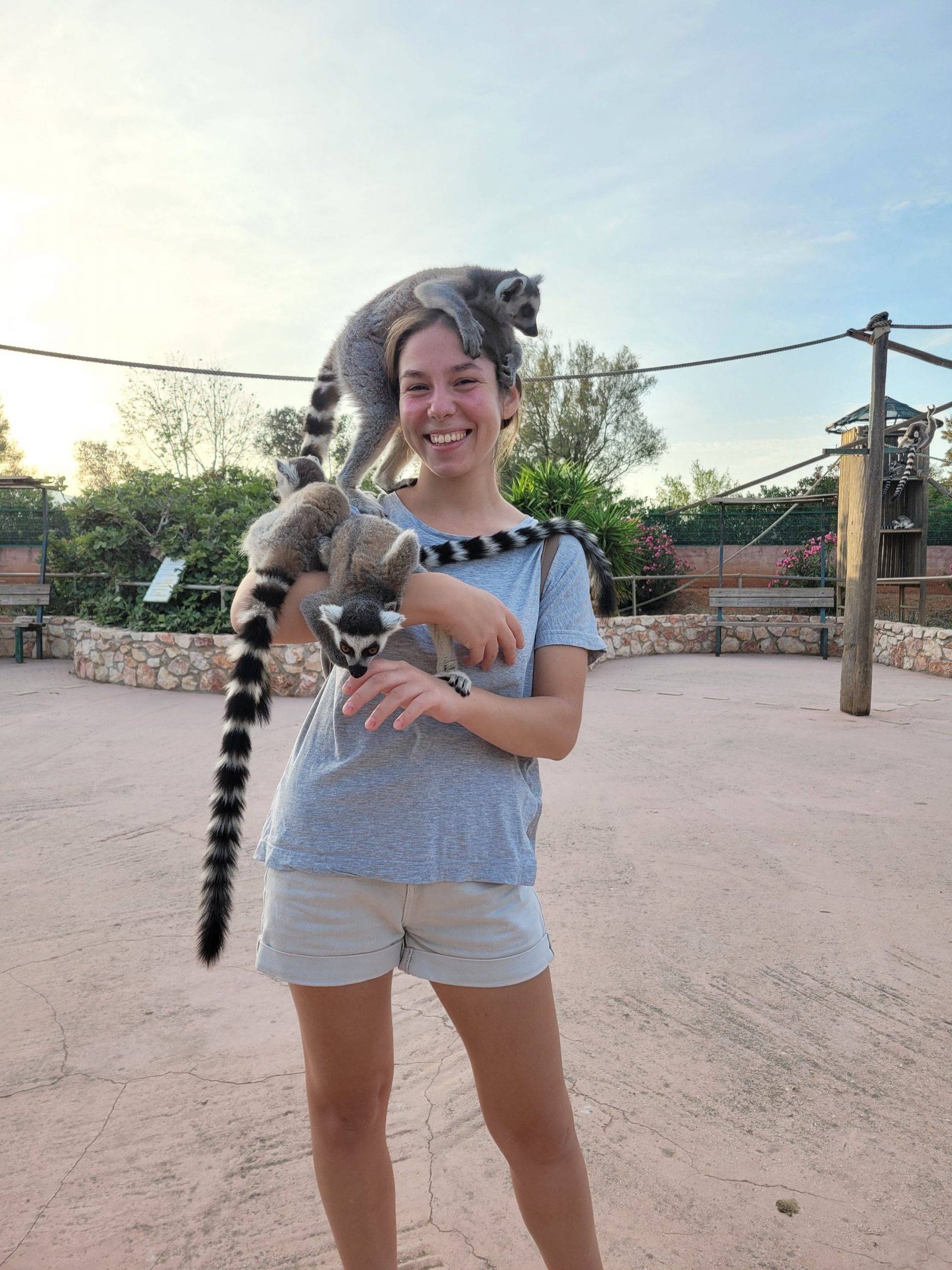 What to do in Athens with kids