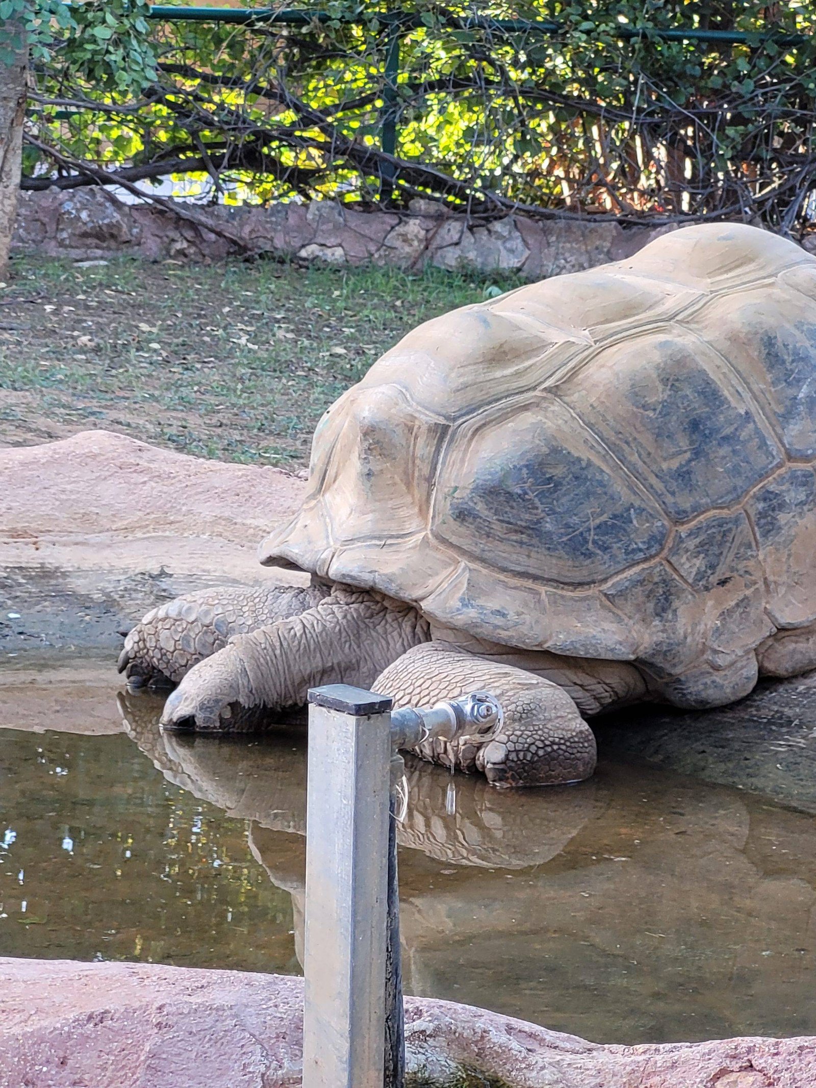 Athens Zoological Park with kids