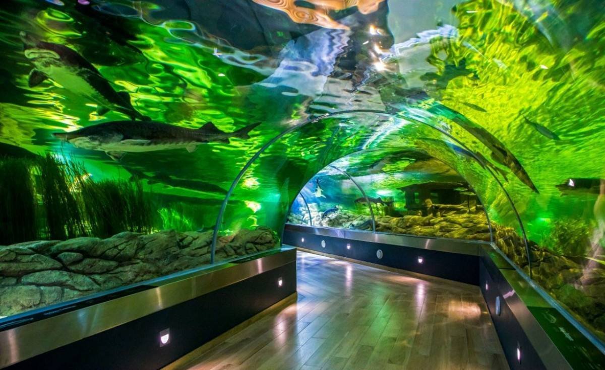 Free museums on last Sundays 2025