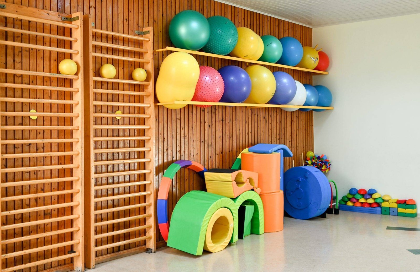 Children’s rehabilitation sanatorium “Palangos Gintaras”