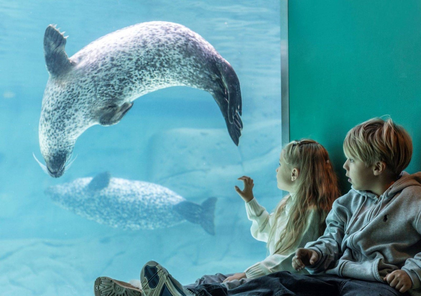 Indoor activities with children in Klaipėda