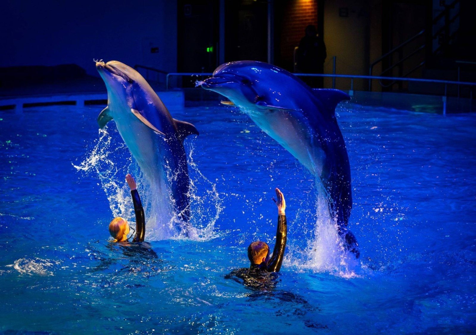 Klaipėda Dolphinarium