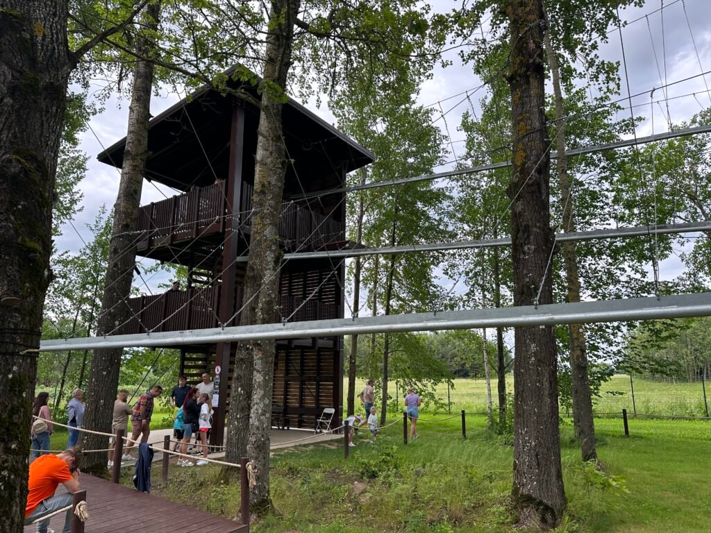TOP attraction in Lithuania - roller zipline