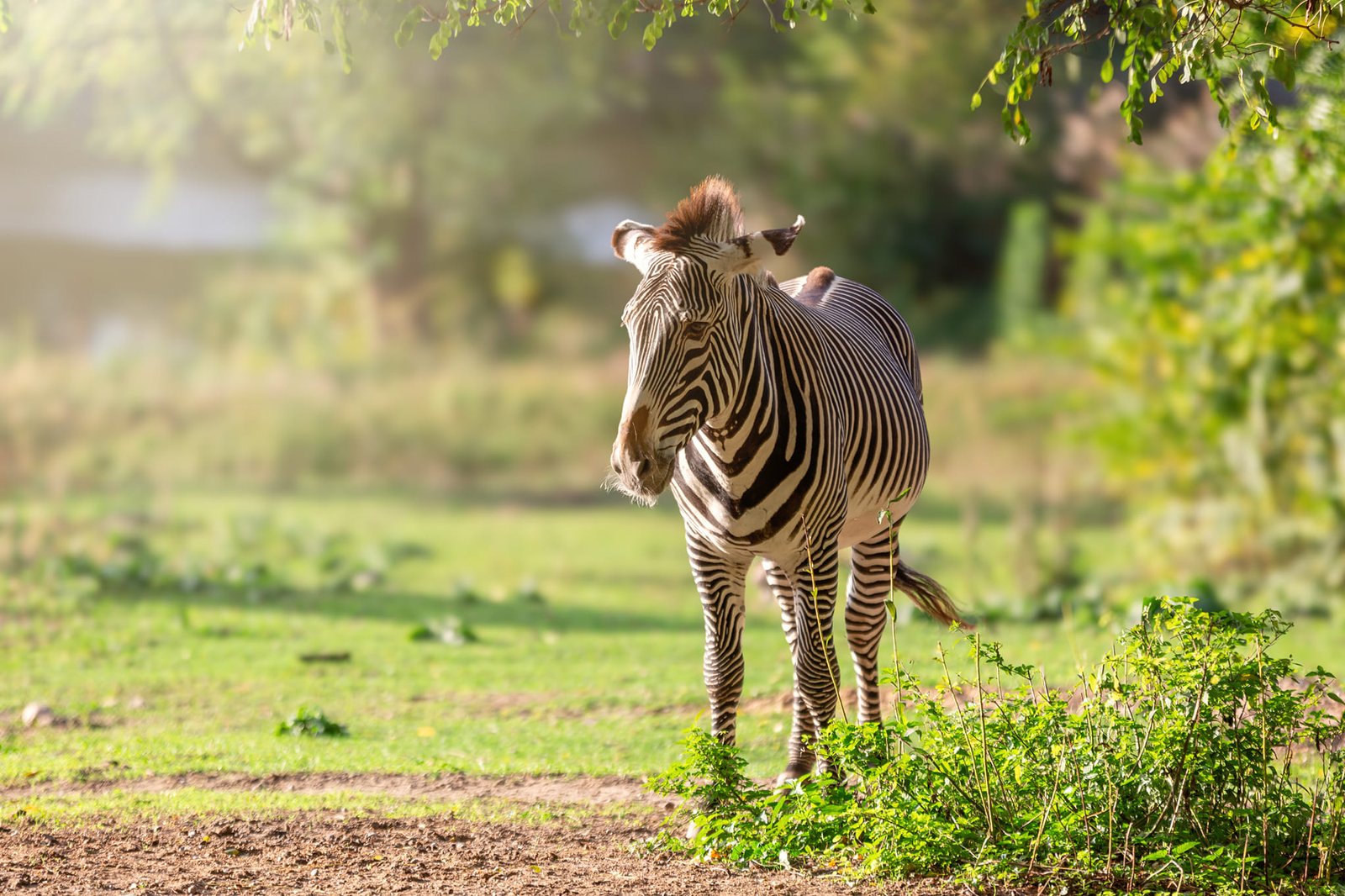 Photo from the Poznan zoo social media