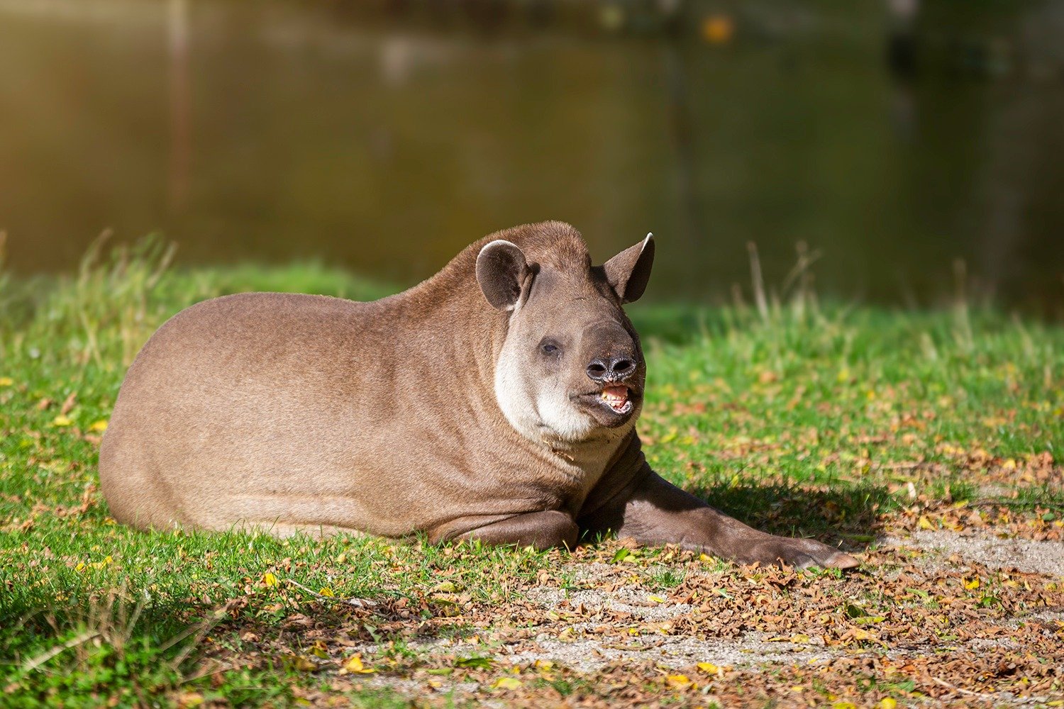 Photo from the Poznan zoo social media