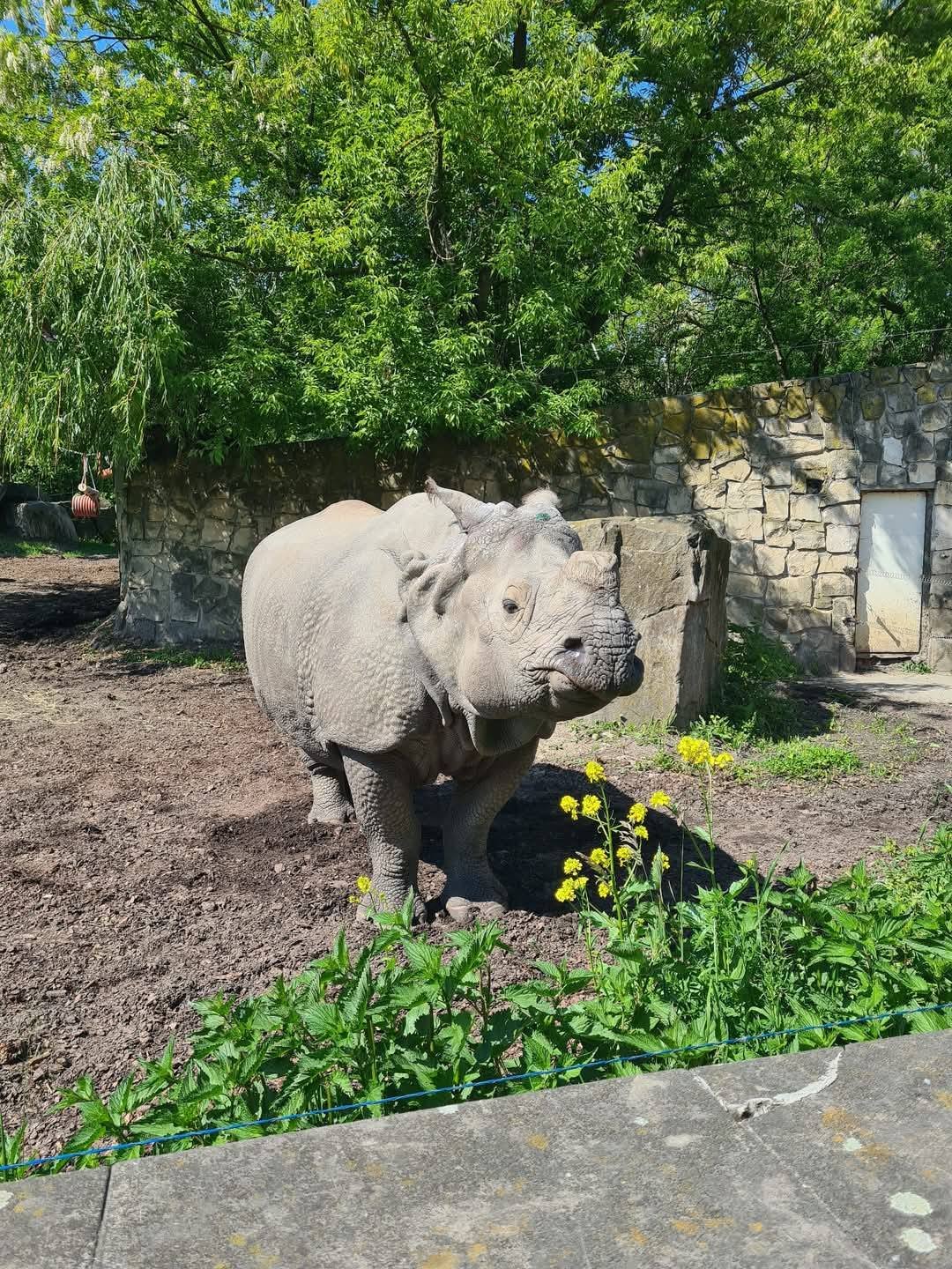 Photo from the Warsaw zoo social media account