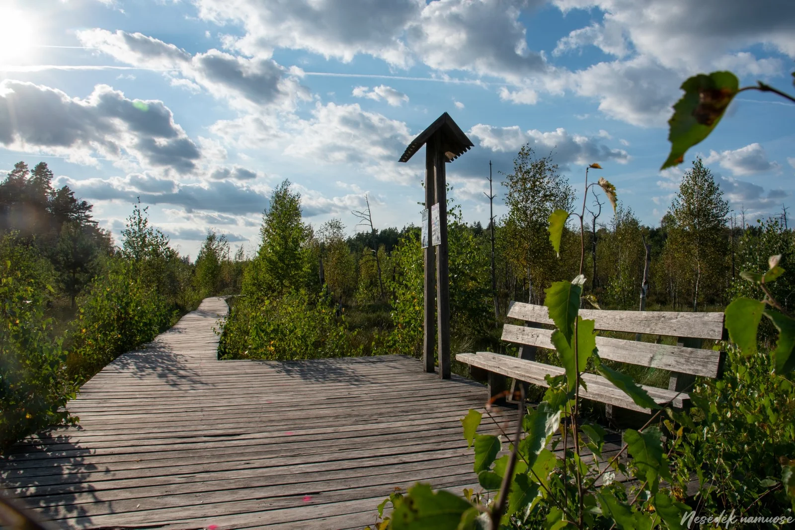 Dubrava Nature Trail (photo from the “Nesėdėk namuose” website)