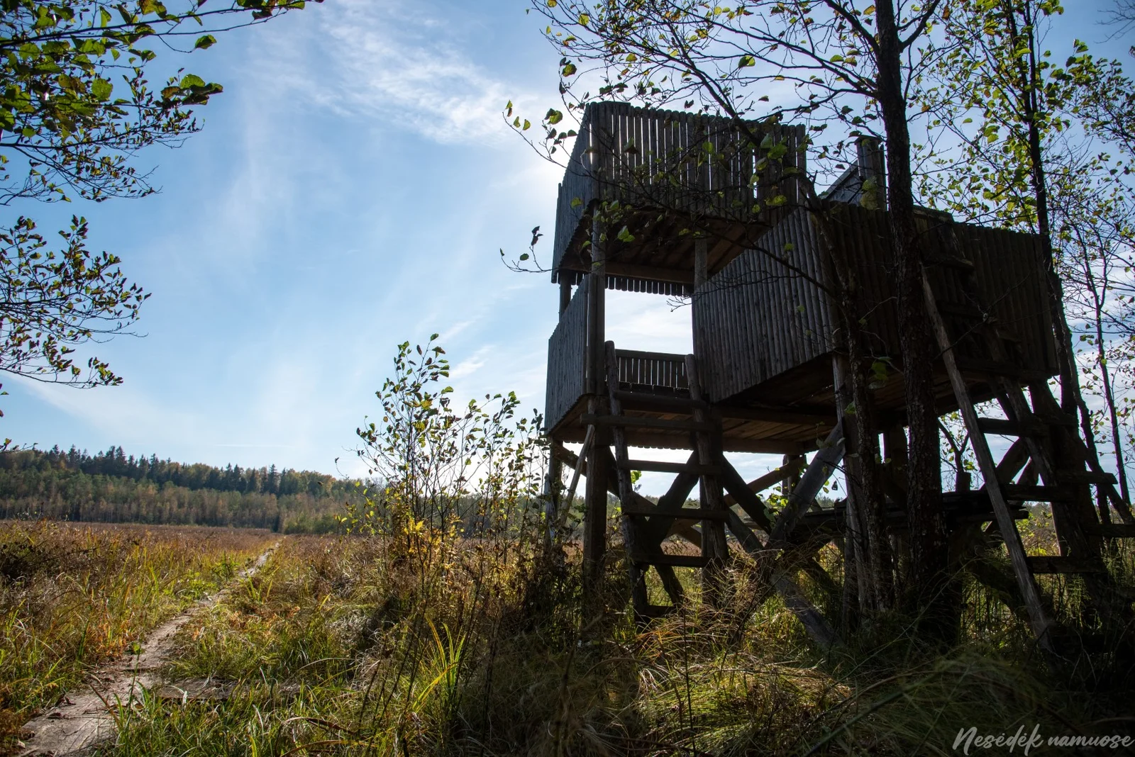 Dusetų Forest Nature Trail (photo from the “Nesėdėk namuose” website)