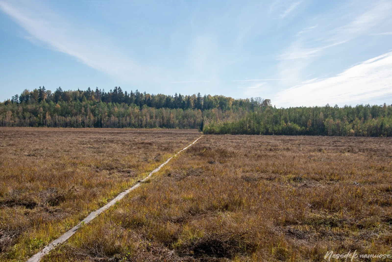 Dusetų Forest Nature Trail (photo from the “Nesėdėk namuose” website)