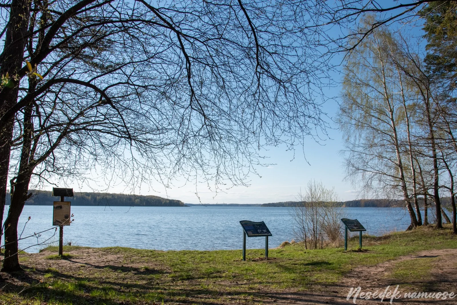 Gastilionių Nature Trail (photo from the “Nesėdėk namuose” website)