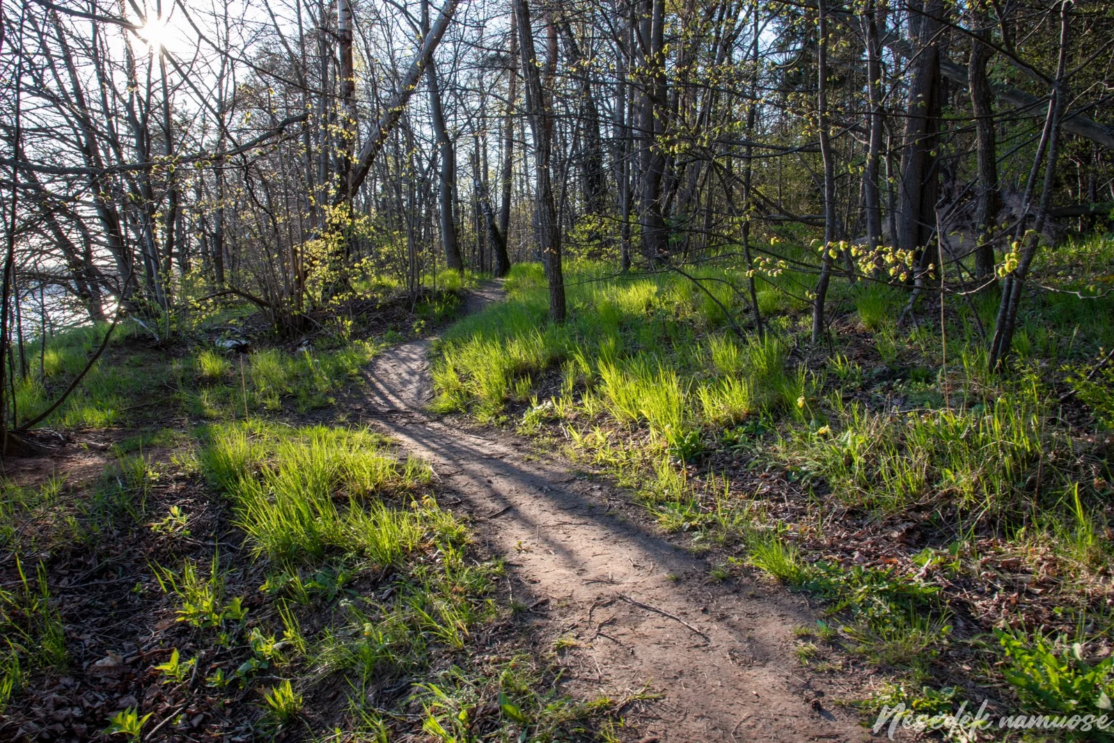 Gastilionių Nature Trail (photo from the “Nesėdėk namuose” website)