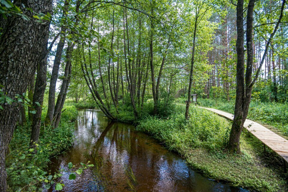 Gauja Nature Trail