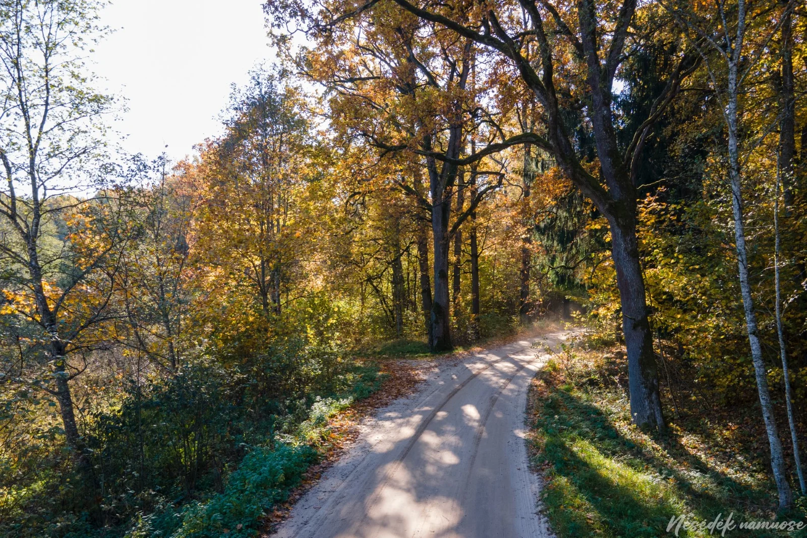 Jūkainiai Nature and Recreational Trail (photo from the “Nesėdėk namuose” website)