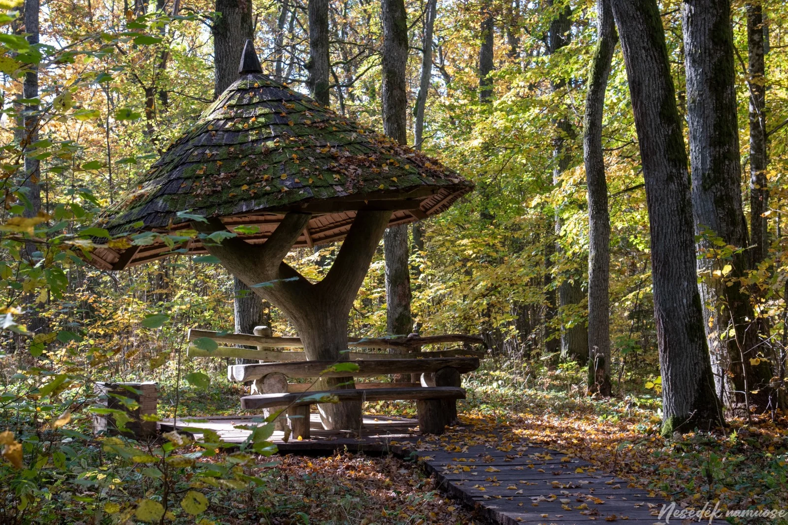 Jūkainiai Nature and Recreational Trail (photo from the “Nesėdėk namuose” website)