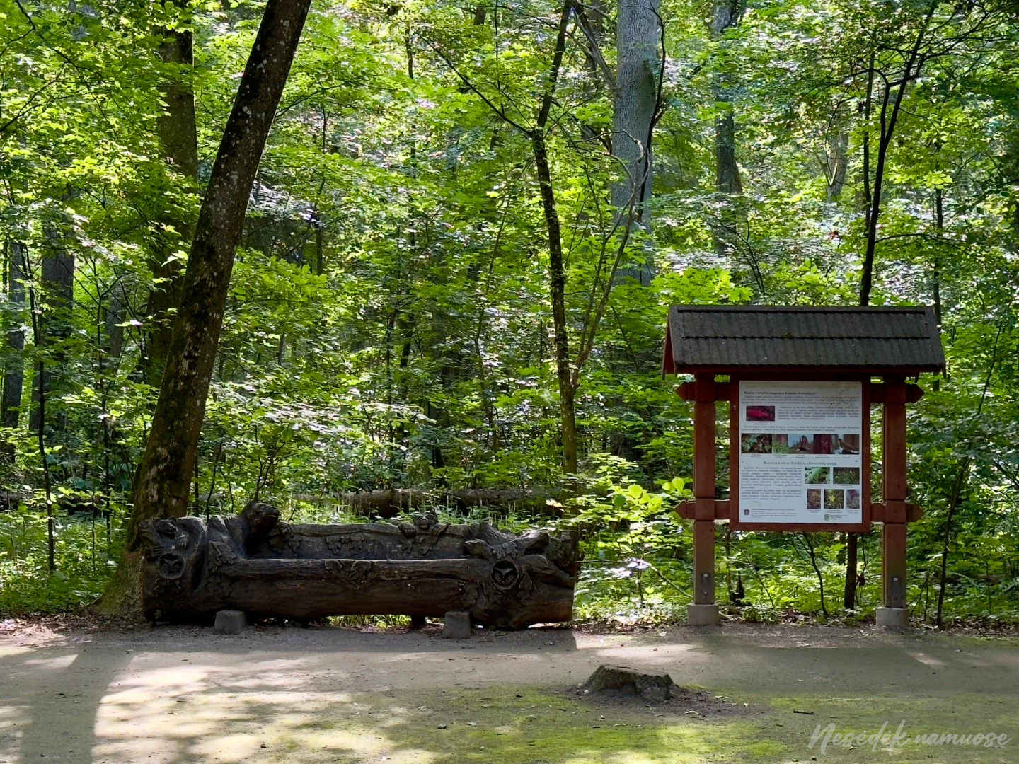 Kamšos Botanical-Zoological Reserve Trail (photo from the “Nesėdėk namuose” website)