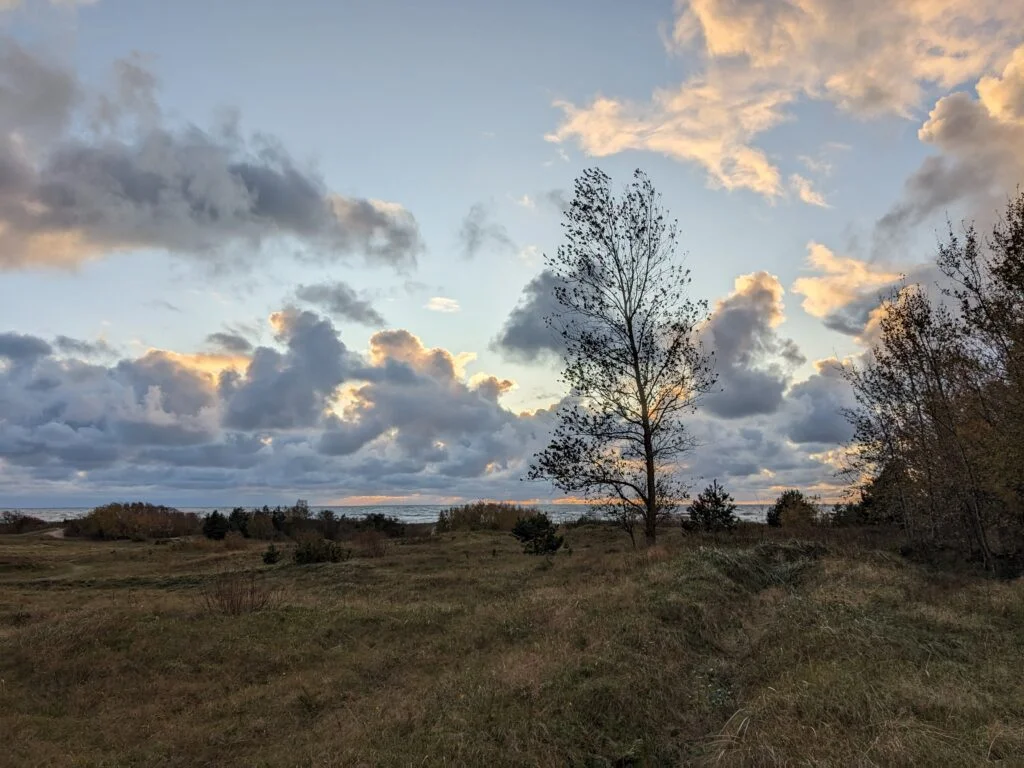 Seaside Regional Park (photo by Palanga TIC)