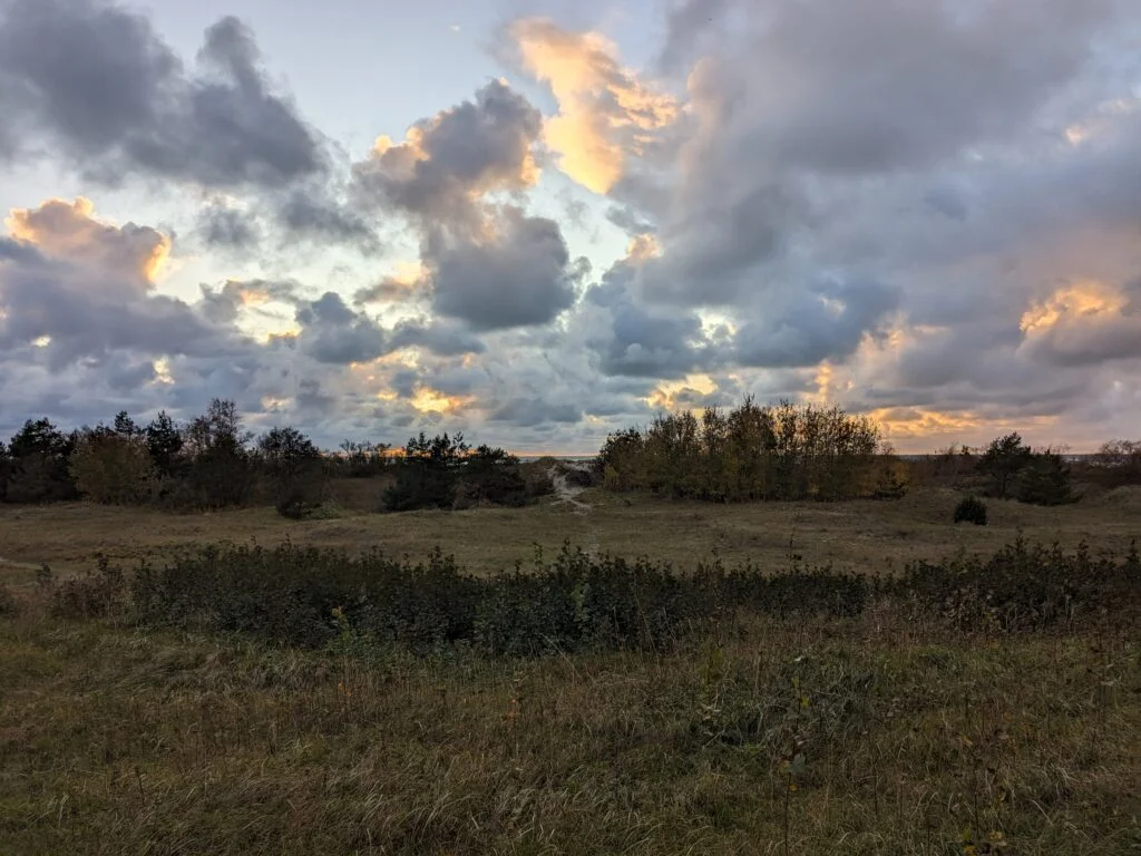 Seaside Regional Park (photo by Palanga TIC)