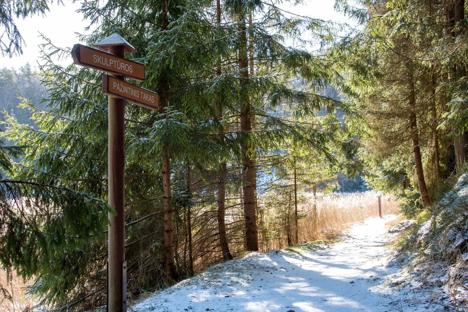 Paplatelė Nature Trail (photo from the “Nesėdėk namuose” website)