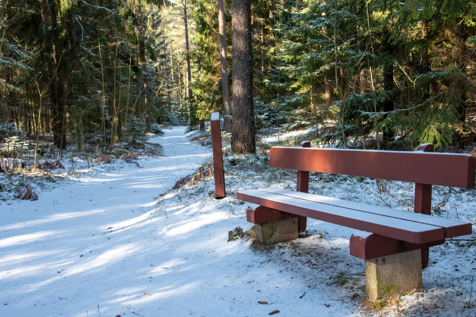 Paplatelė Nature Trail (photo from the “Nesėdėk namuose” website)