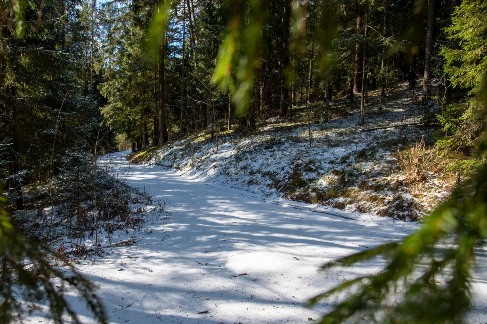 Paplatelė Nature Trail (photo from the “Nesėdėk namuose” website)