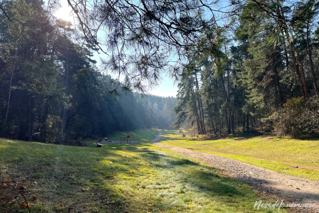 Hiking in Lithuania with kids. Sapieginė Nature Trail (photo from the “Nesėdėk namuose” website)