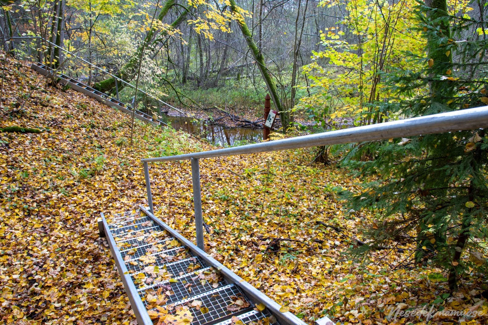Šavaša Nature Trail (photo from the “Nesėdėk namuose” website)
