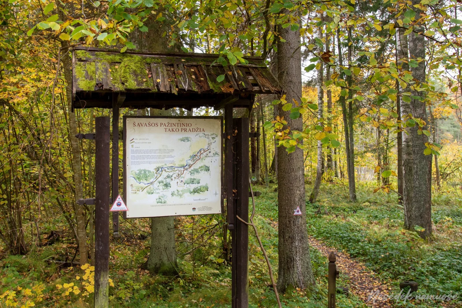 Šavaša Nature Trail (photo from the “Nesėdėk namuose” website)