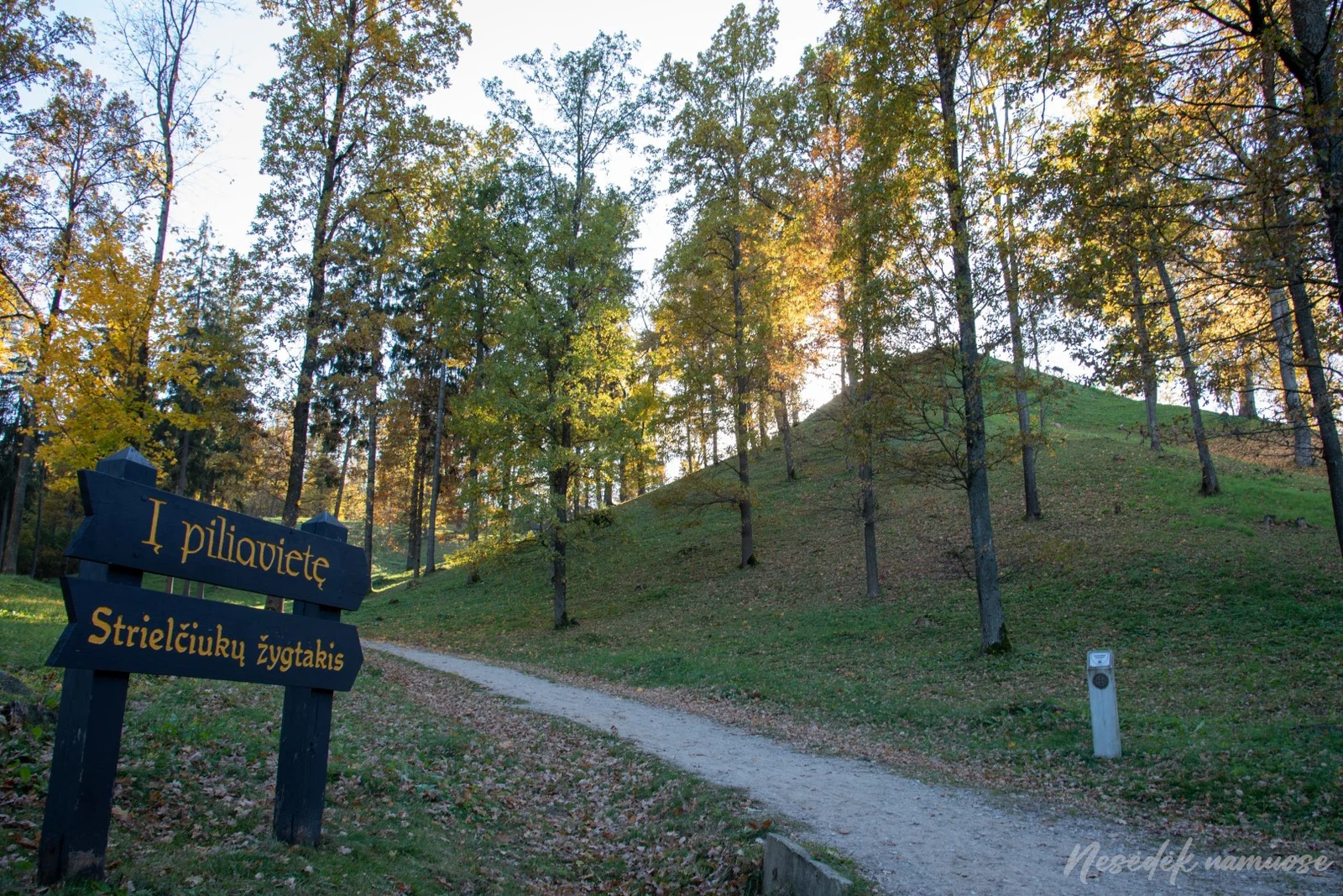 Strielčiukai Hike Trail (photo from the “Nesėdėk namuose” website)
