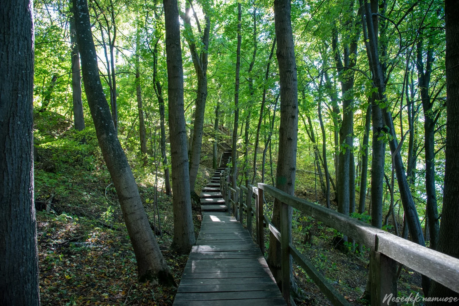 Žiegždrių Geological Trail (photo from the “Nesėdėk namuose” website)
