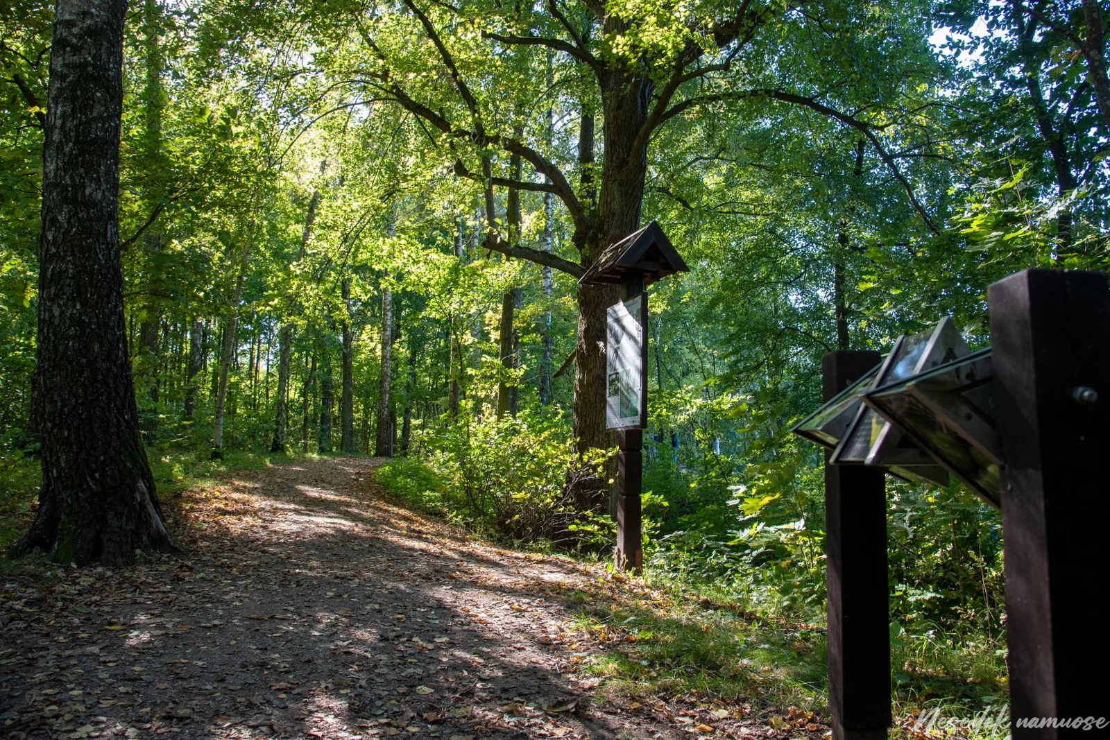 Žiegždrių Geological Trail (photo from the “Nesėdėk namuose” website)