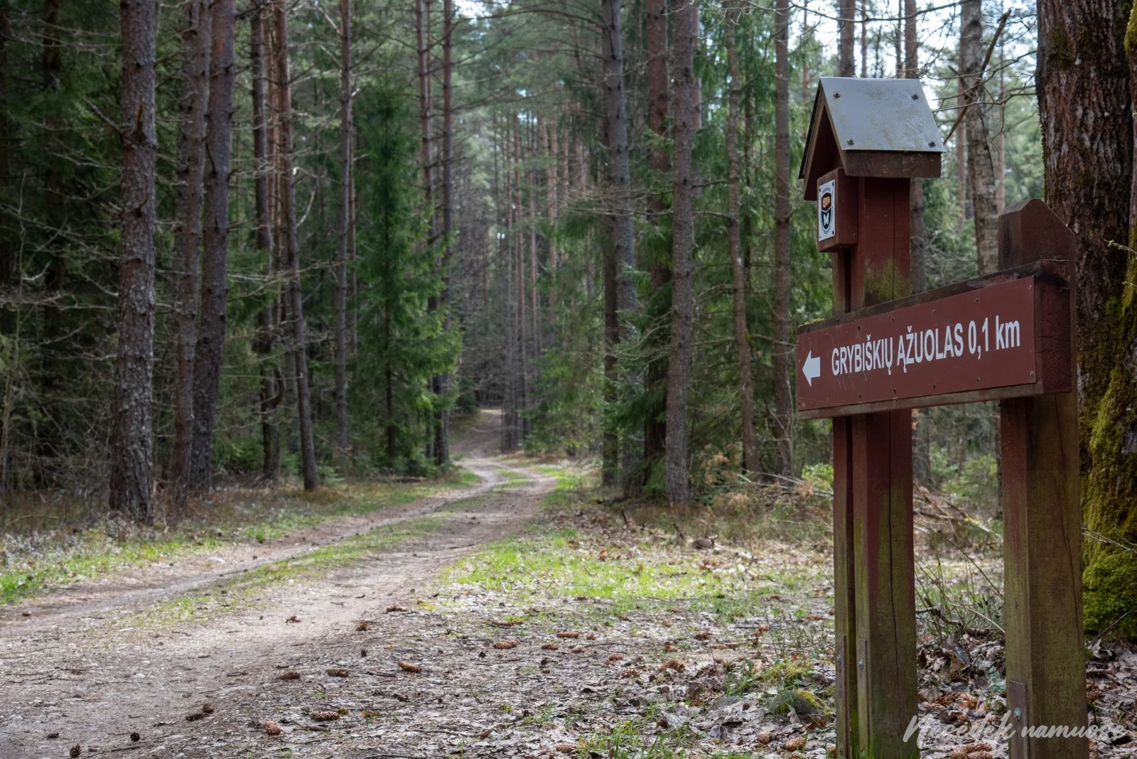 Dieveniškės Regional Park hiking trails (photo from the “Nesėdėk namuose” website)