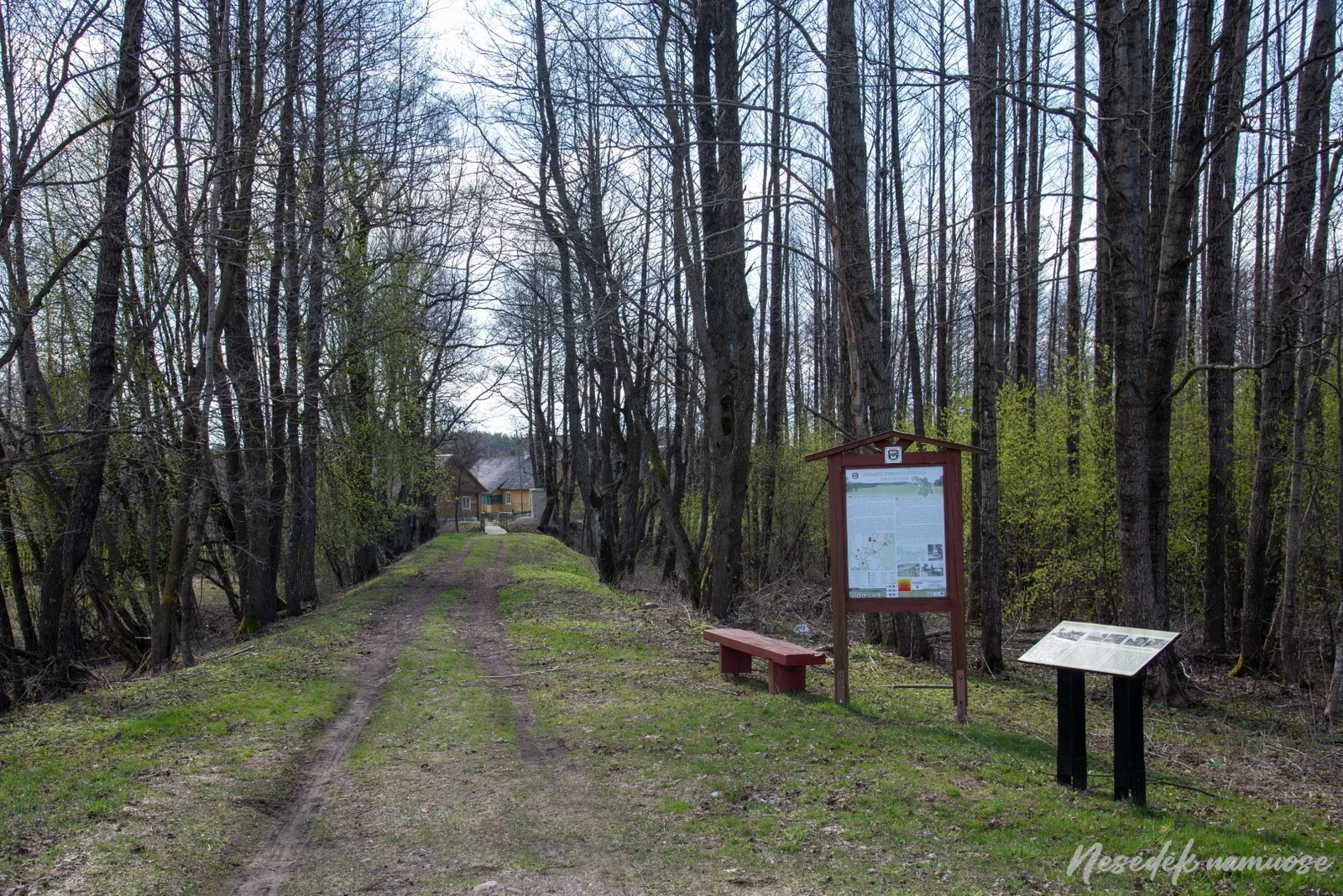 Dieveniškės Regional Park hiking trails (photo from the “Nesėdėk namuose” website)