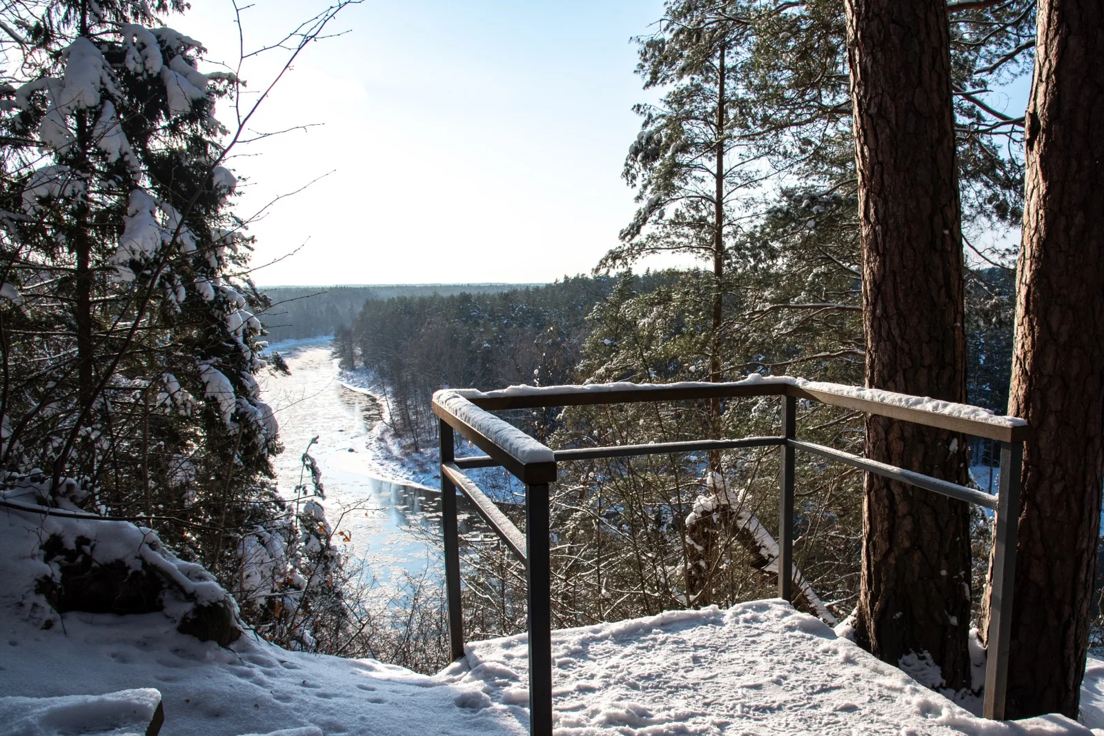 Karmazinai Nature Trail (photo from the “Nesėdėk namuose” website)