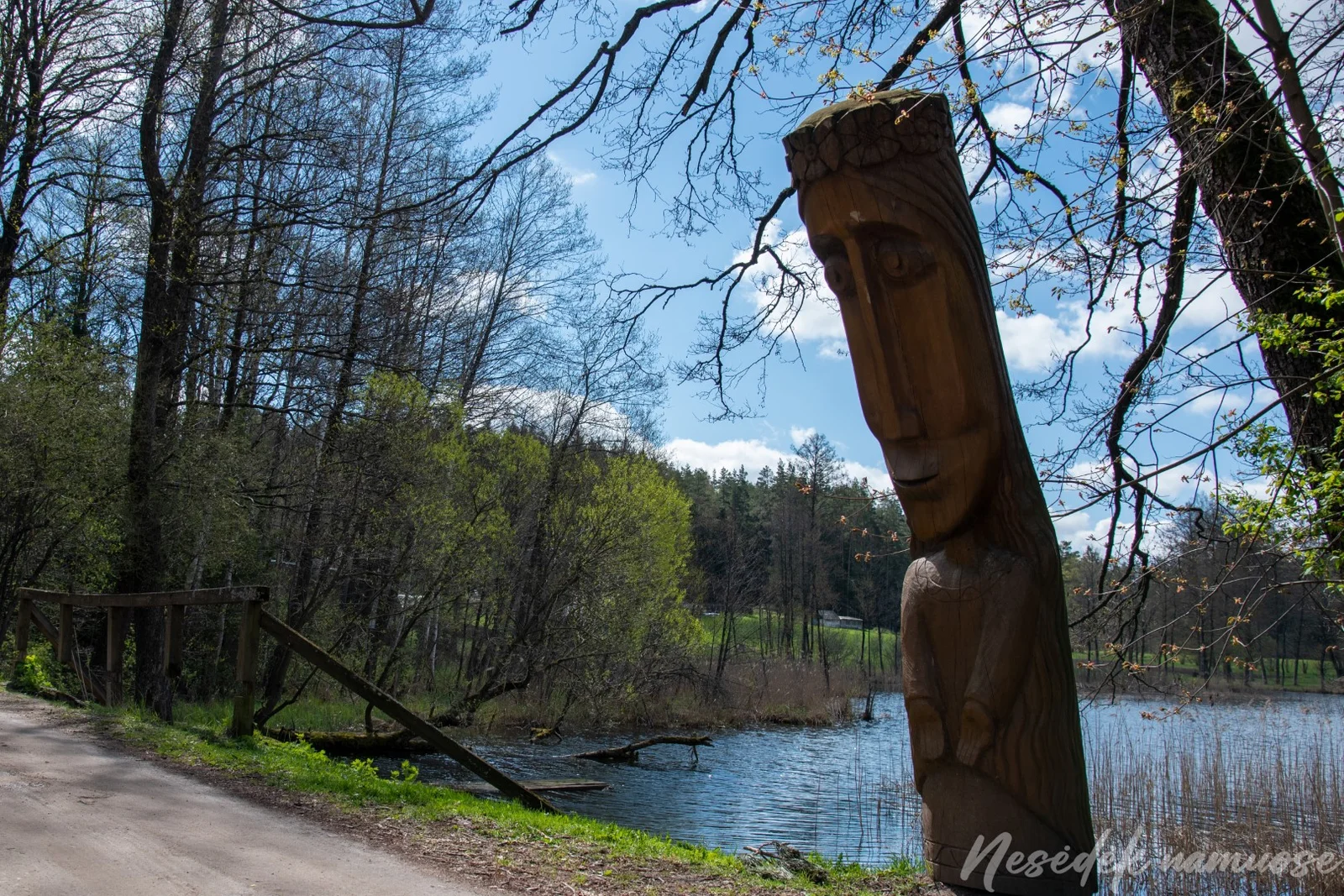 Ancestor’s Trail (photo from the “Nesėdėk namuose” website)