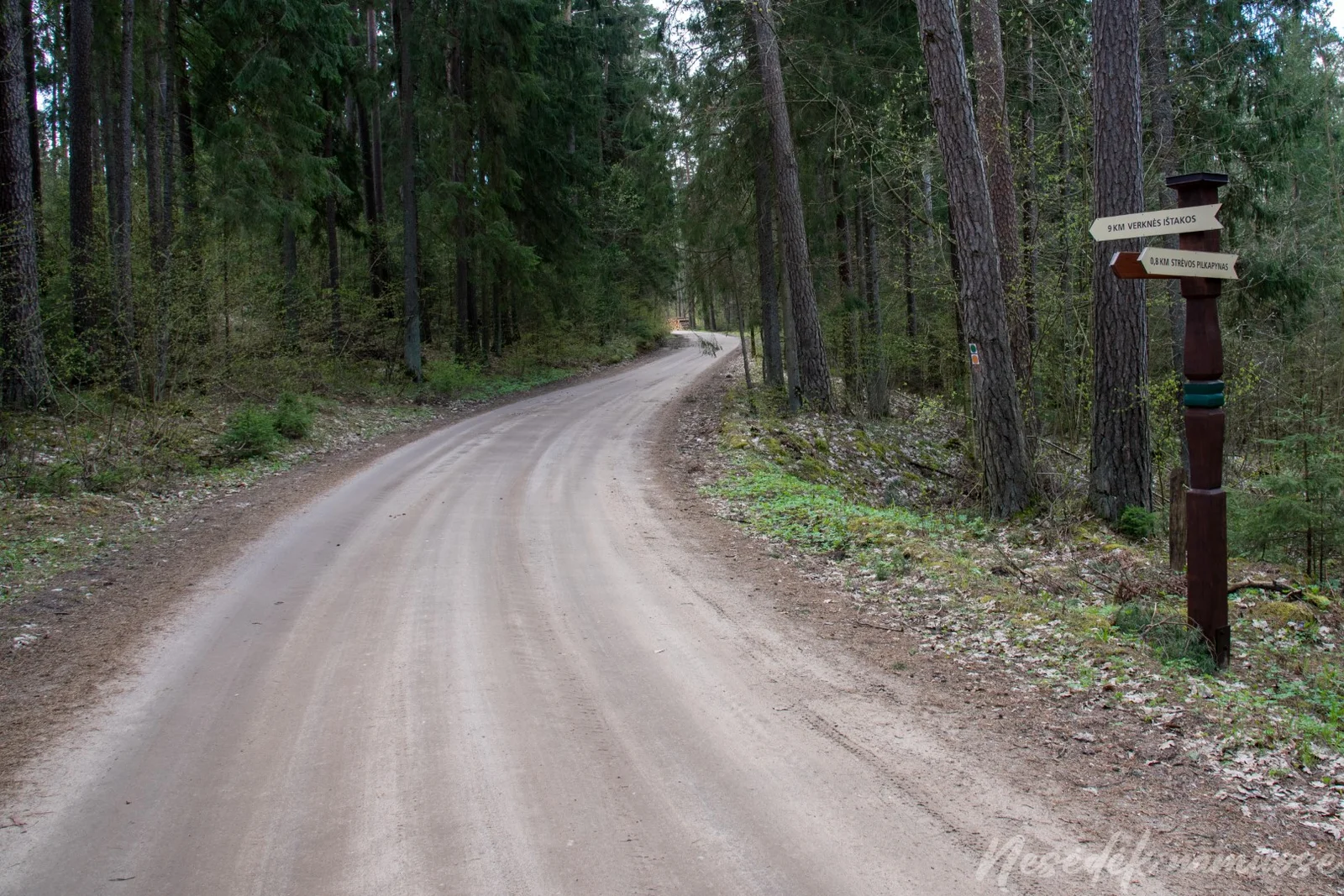Ancestor’s Trail (photo from the “Nesėdėk namuose” website)