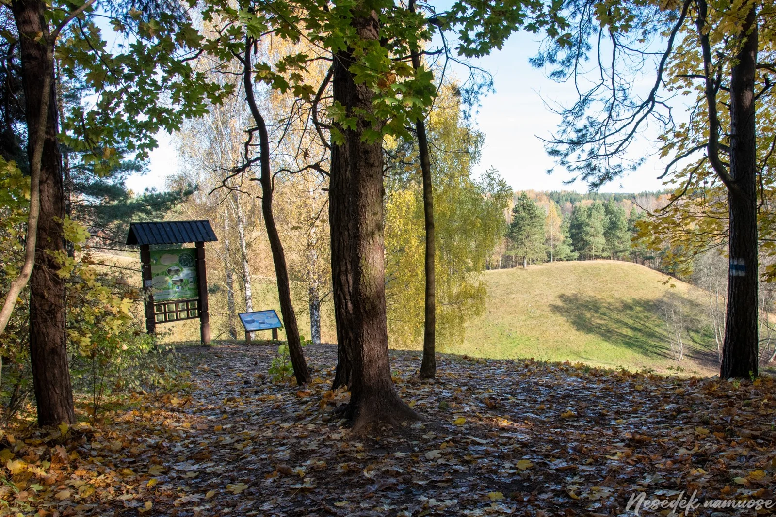 Ribiškės Nature Trail (photo from the “Nesėdėk namuose” website)