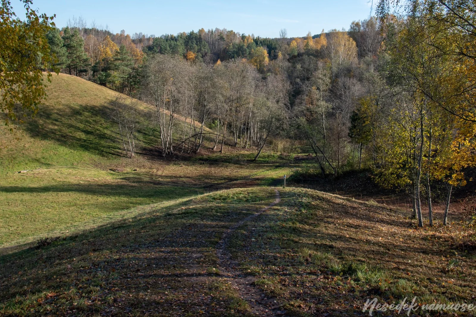Ribiškės Nature Trail (photo from the “Nesėdėk namuose” website)