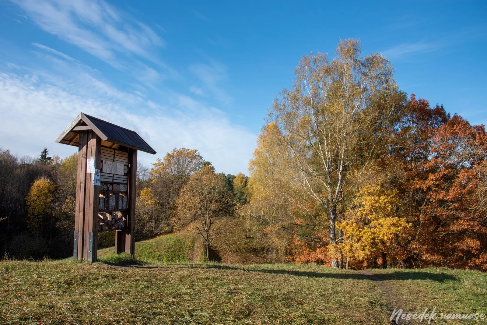 Ribiškės Nature Trail (photo from the “Nesėdėk namuose” website)