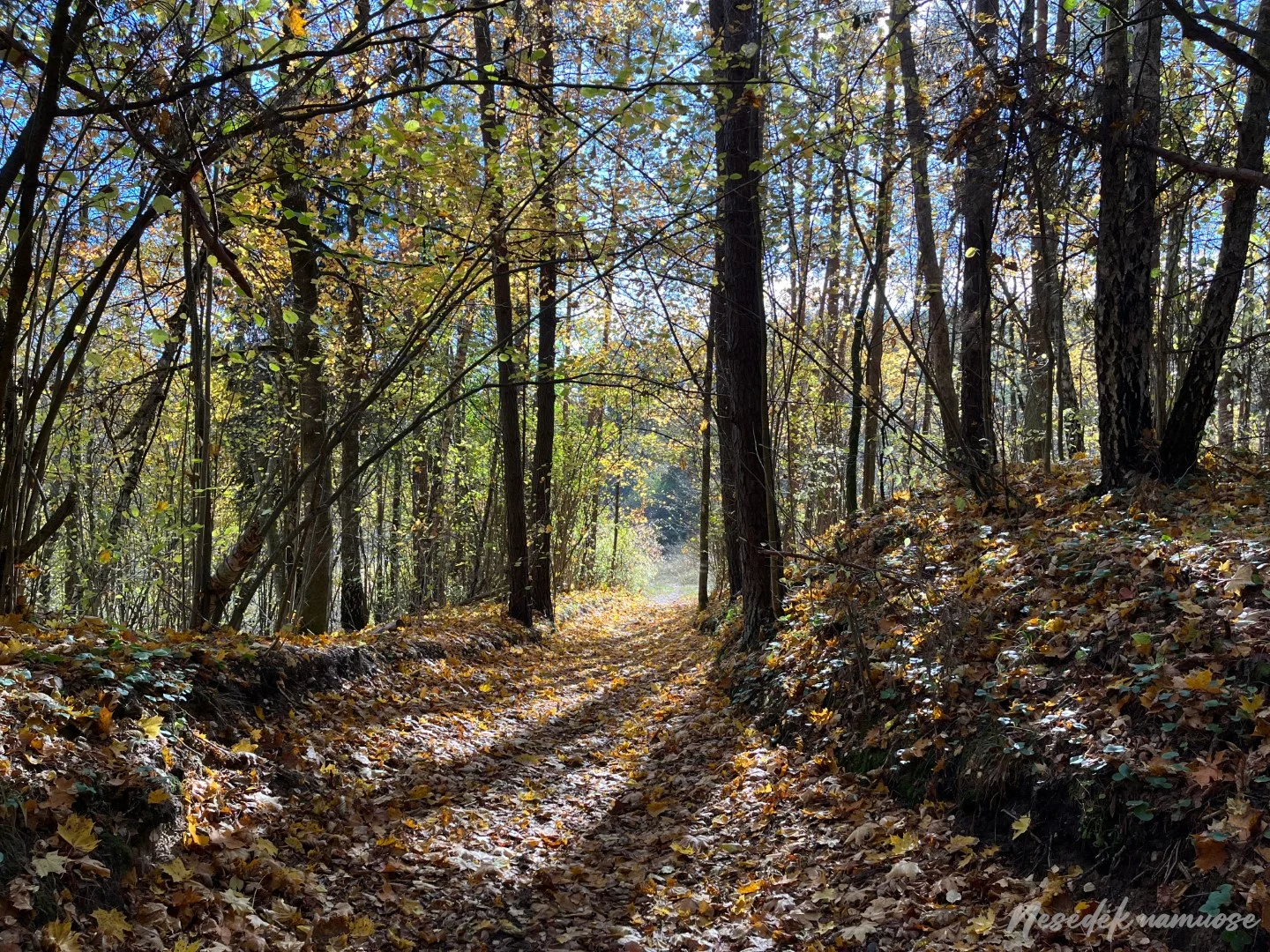 Old Villages Trail (photo from the “Nesėdėk namuose” website)
