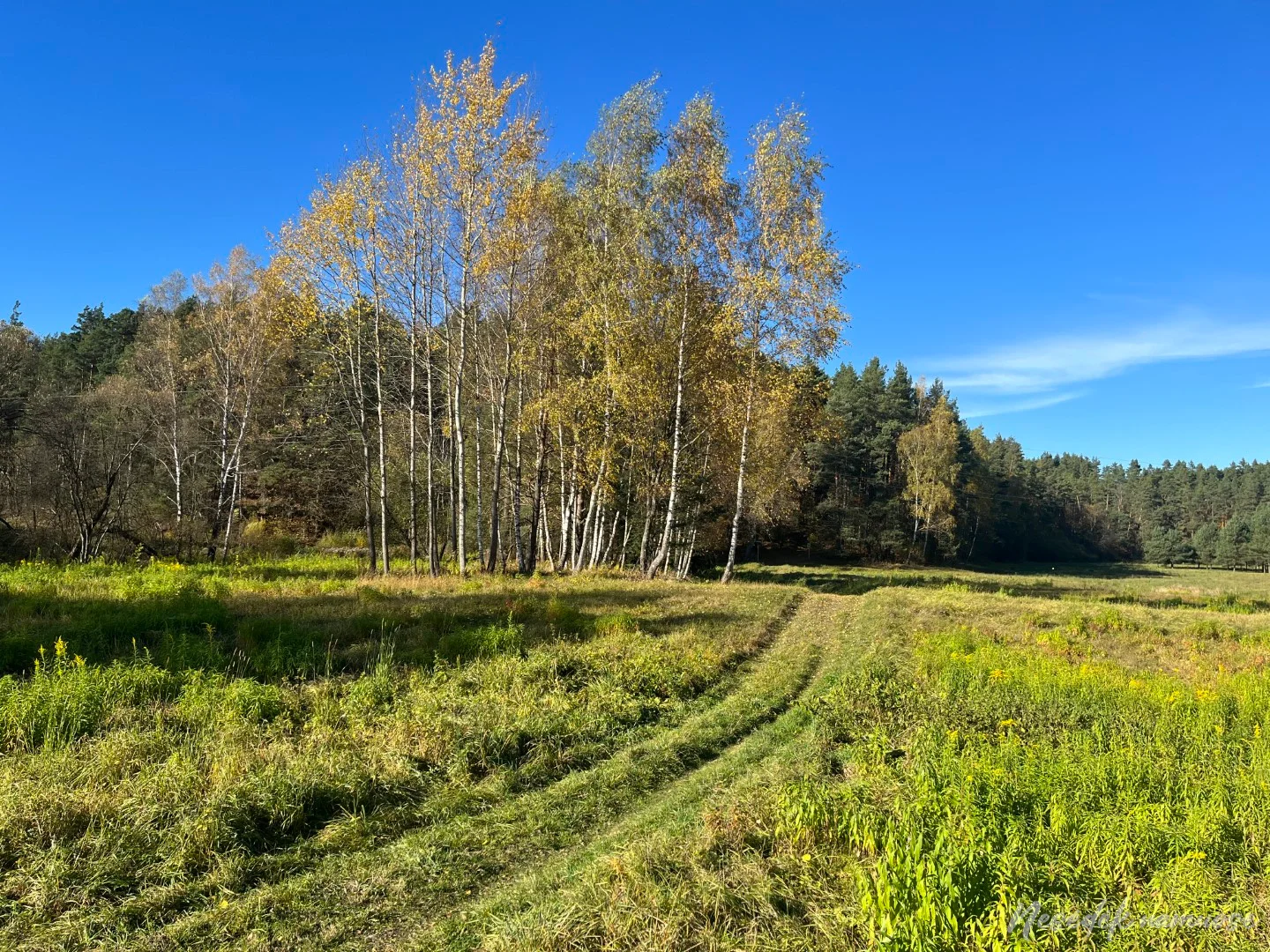 Old Villages Trail (photo from the “Nesėdėk namuose” website)