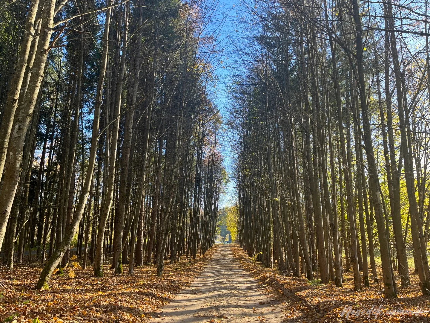 Old Villages Trail (photo from the “Nesėdėk namuose” website)