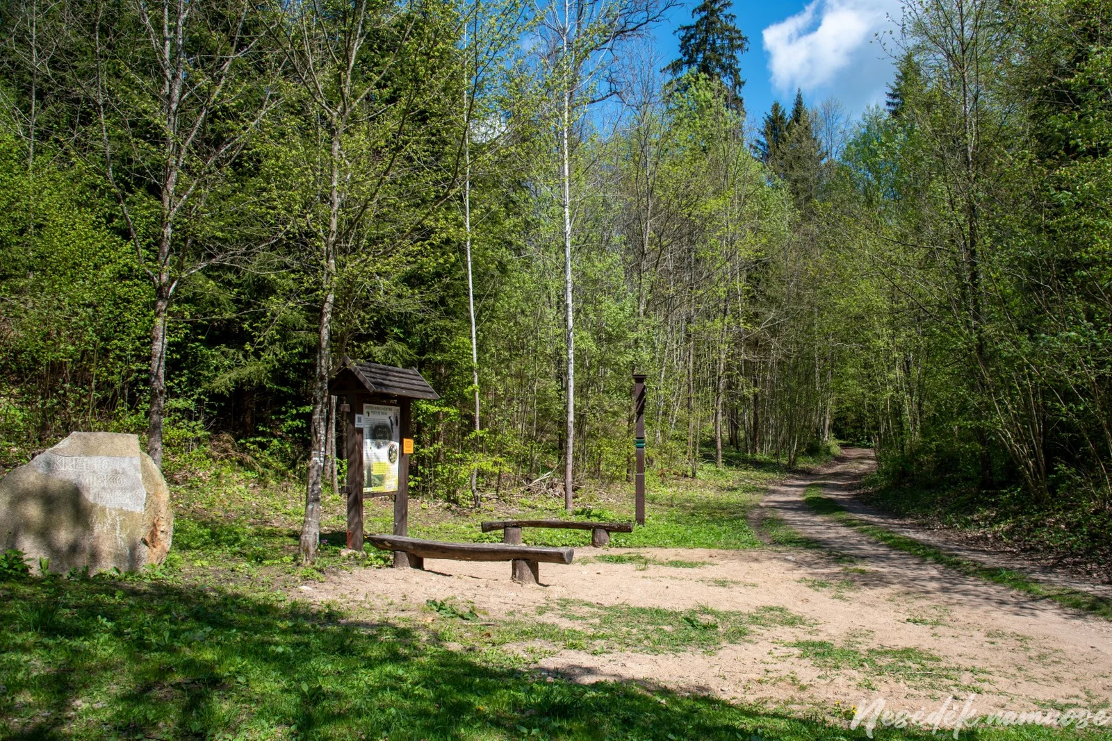 Skrebis Forest Nature Trail (photo from the “Nesėdėk namuose” website)